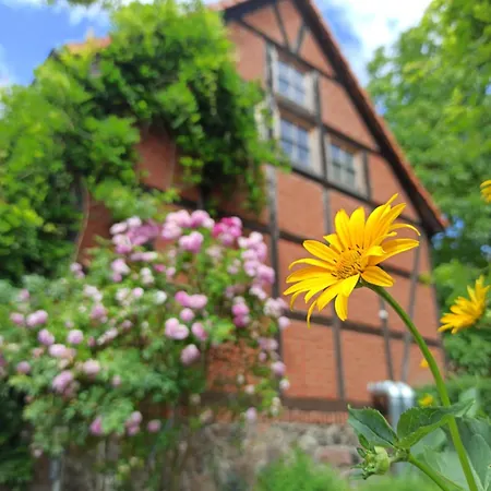 Restaurant Und Alte Schule Hotel *